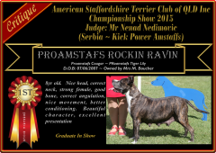Class 7a ~ 1st ~ Proamstafs Rockin Ravin.png